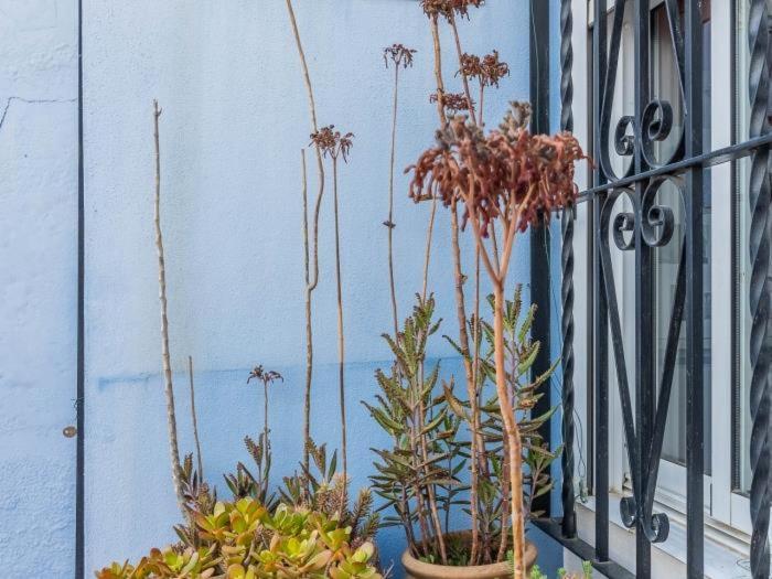 Apartamento Susillo Vacacional Sevilla 외부 사진